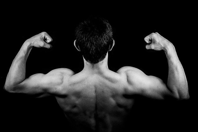 Homme faisant de l'exercice avec équipement de musculation