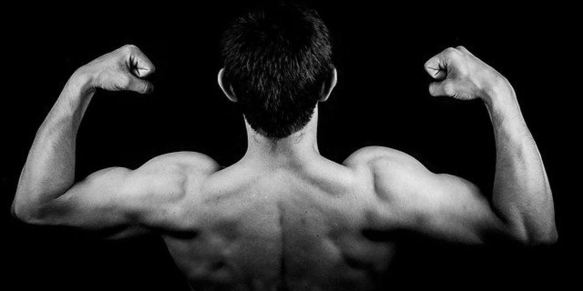 Homme faisant de l'exercice avec équipement de musculation